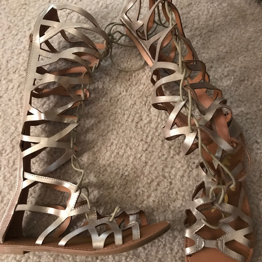 Gladiators - image 1